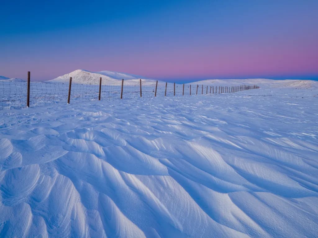 Winter's Embrace