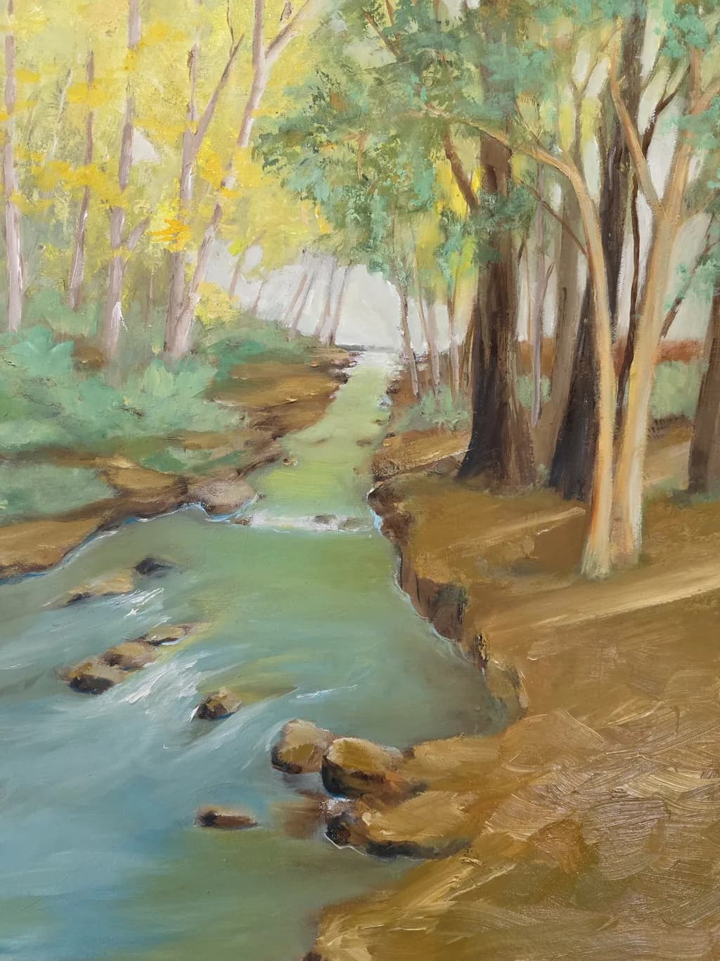 Woodland Stream