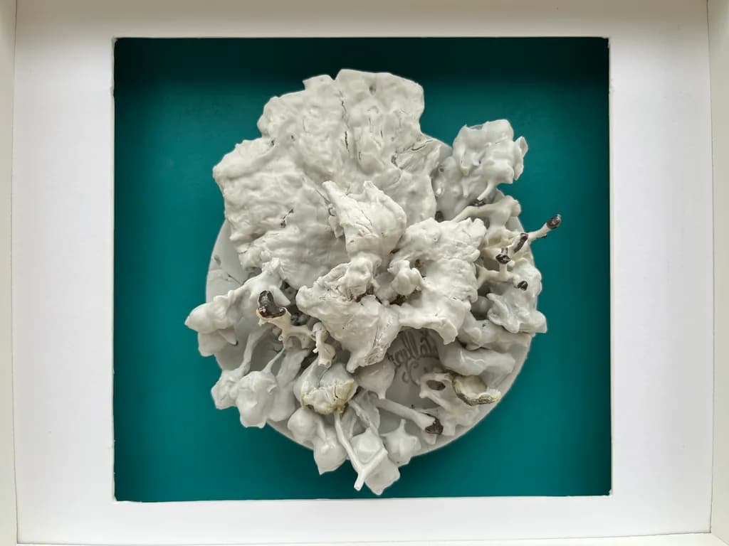 Organic Formations