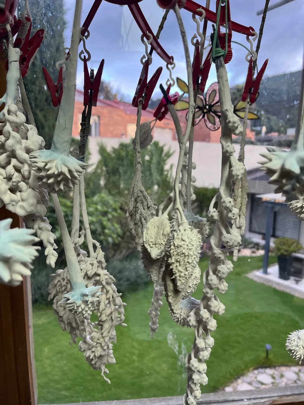 Hanging Botanicals