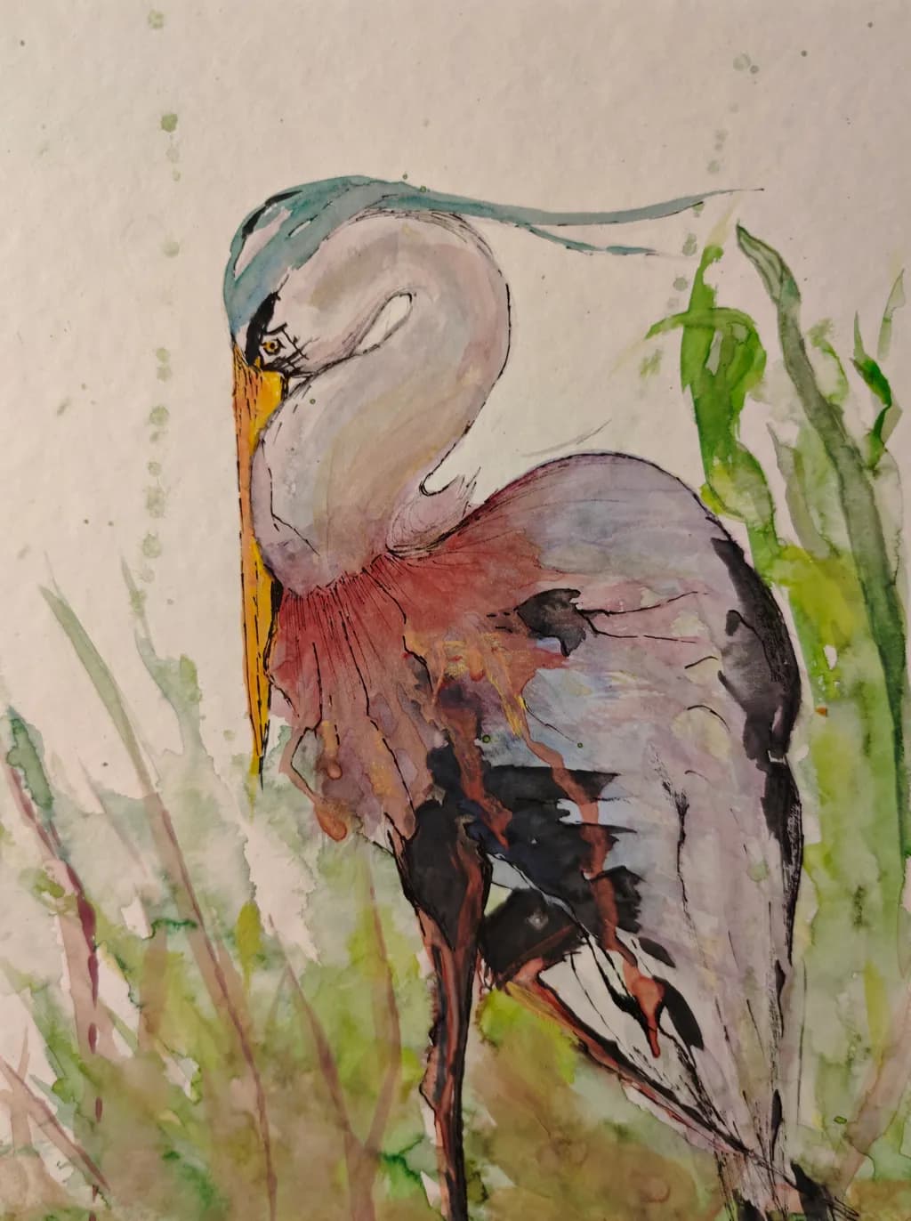 Graceful Heron