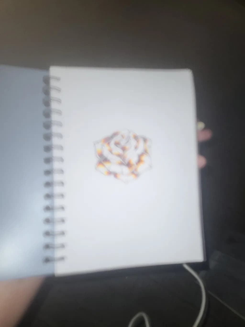 Luminous Rose
