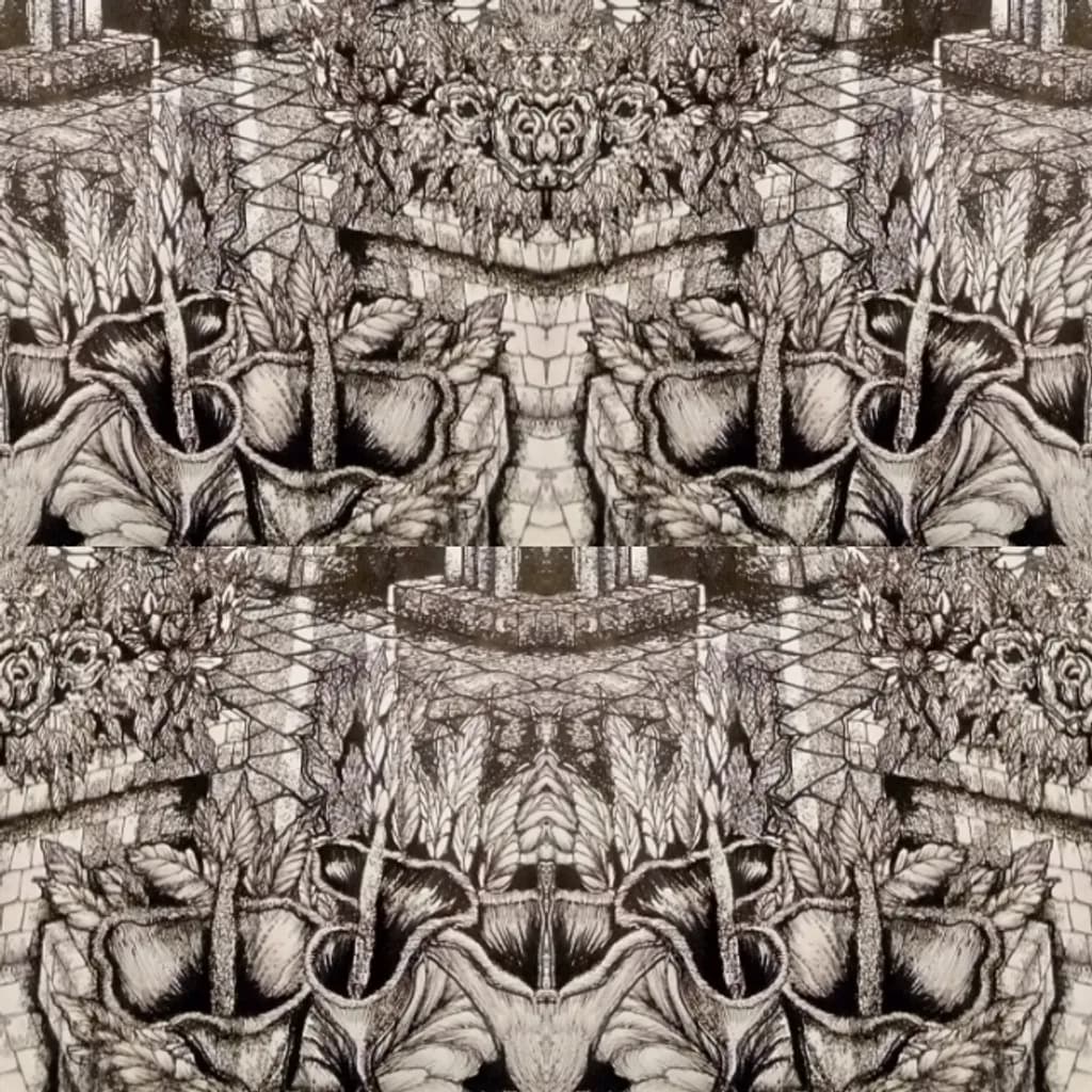 Mirrored Garden