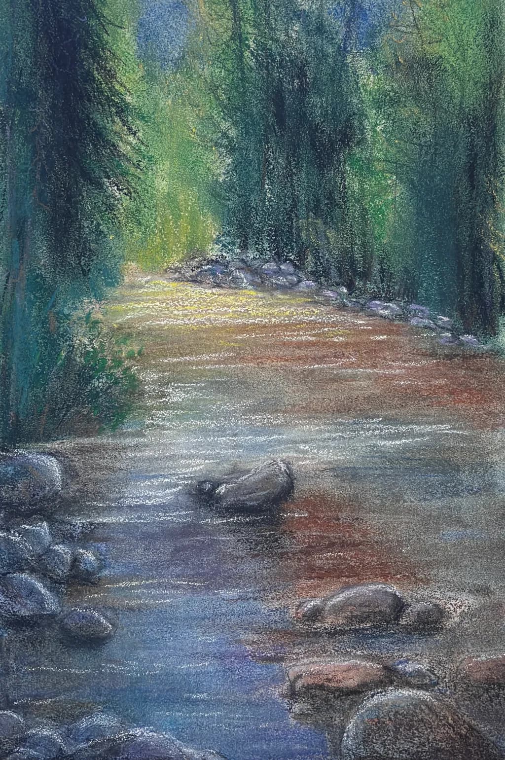Forest Stream Reflection
