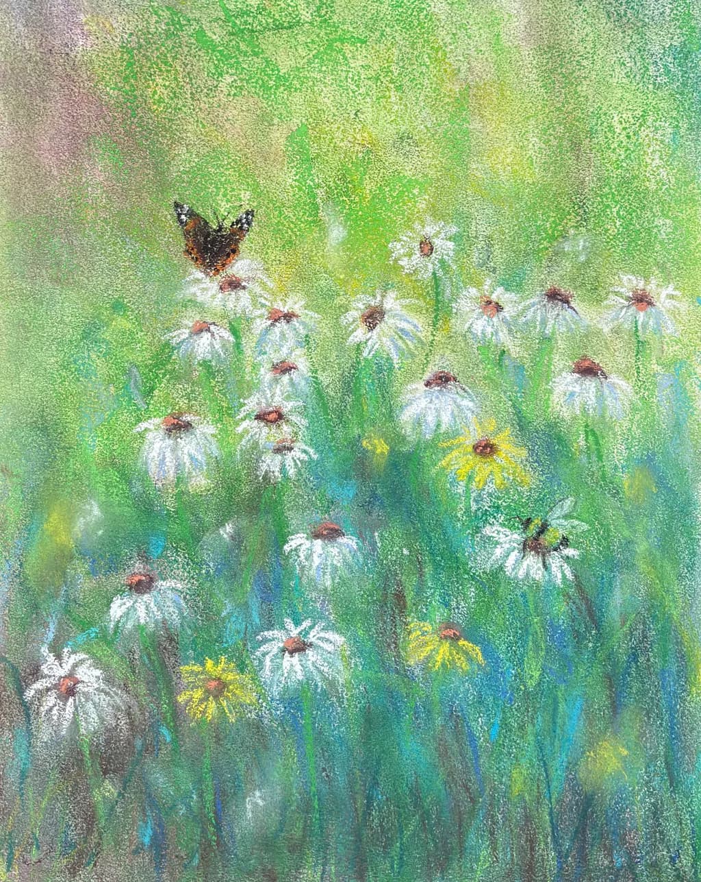 Daisy Meadow with Butterfly