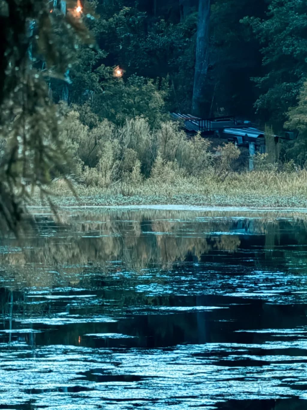 Twilight Refuge