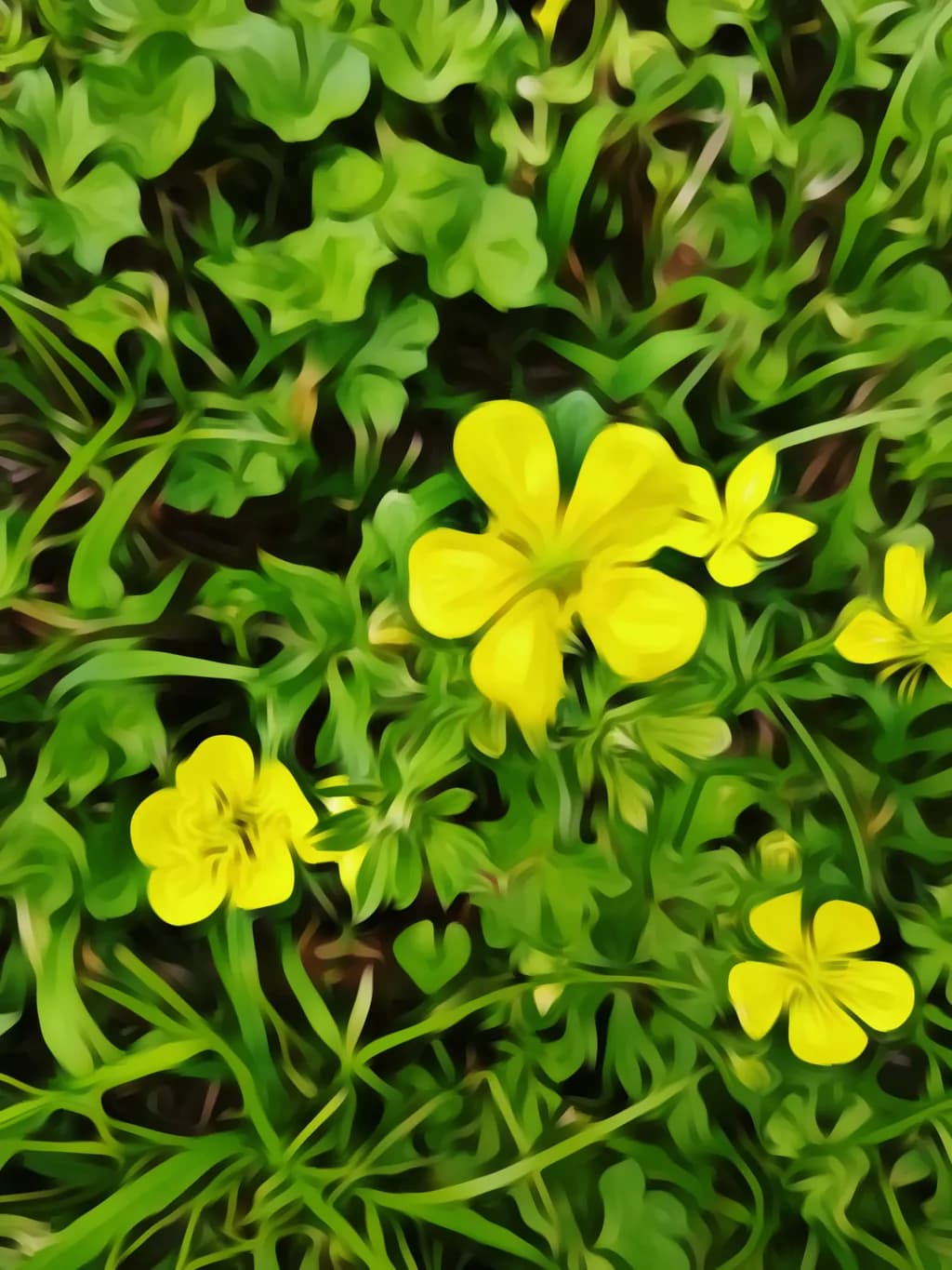 Yellow Bloomscape