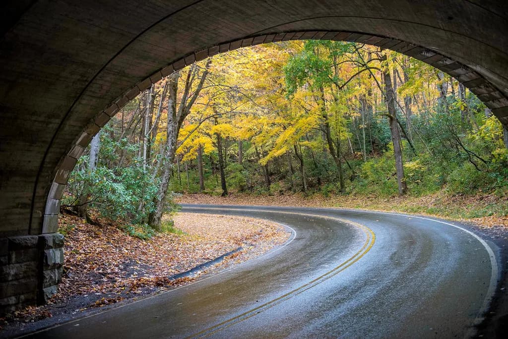 Autumn Curve
