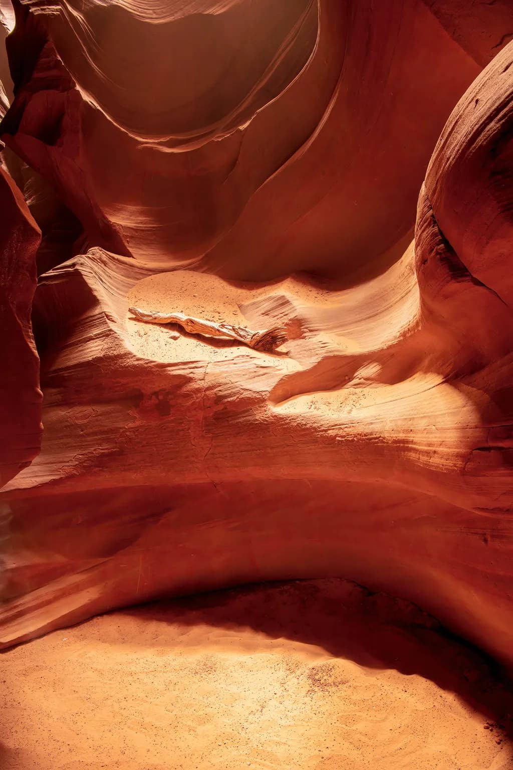 Sculpted Canyon Light