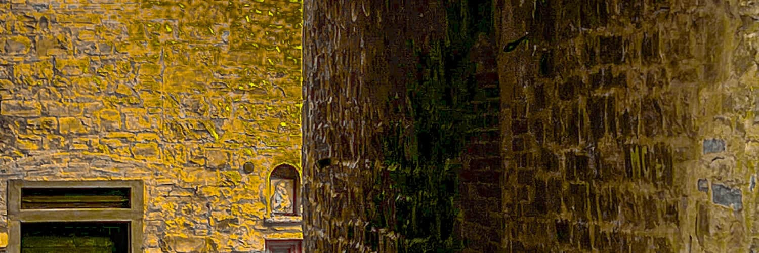 Banner del perfil