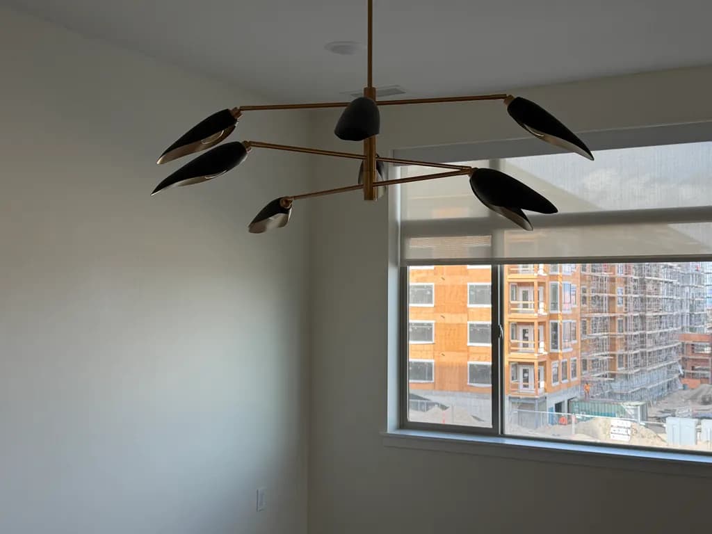 Modern Black Petal Chandelier