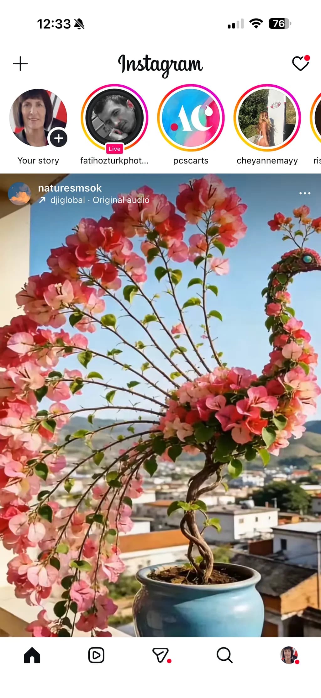 Floral Peacock