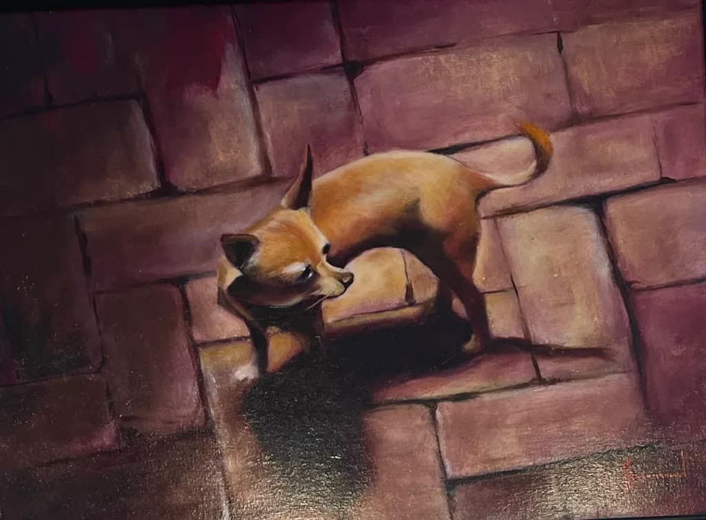 Dog on Brick Path