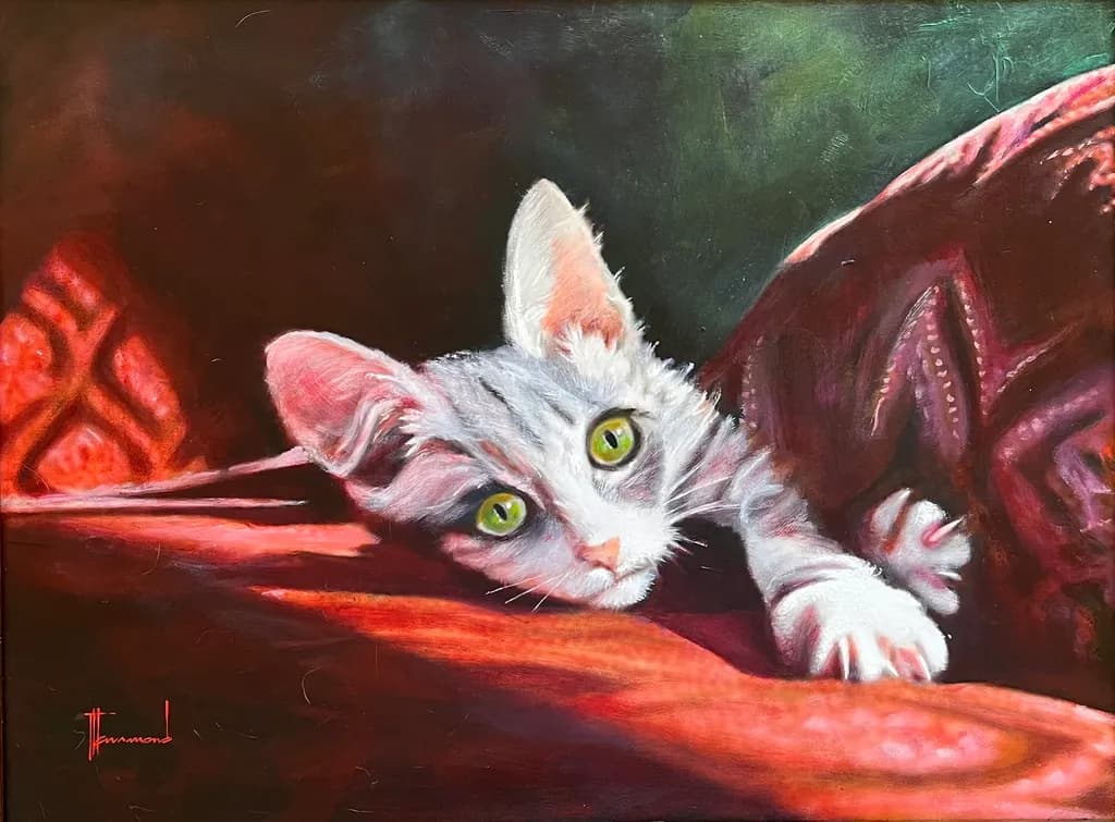 Cat on Red Blanket