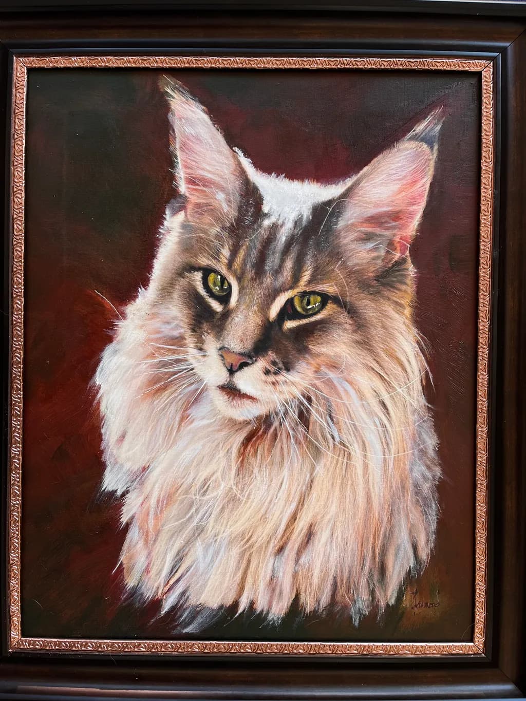 Loki the Maine Coon Cat