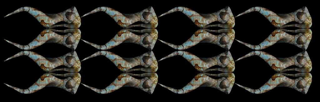 Fluid Harmony
