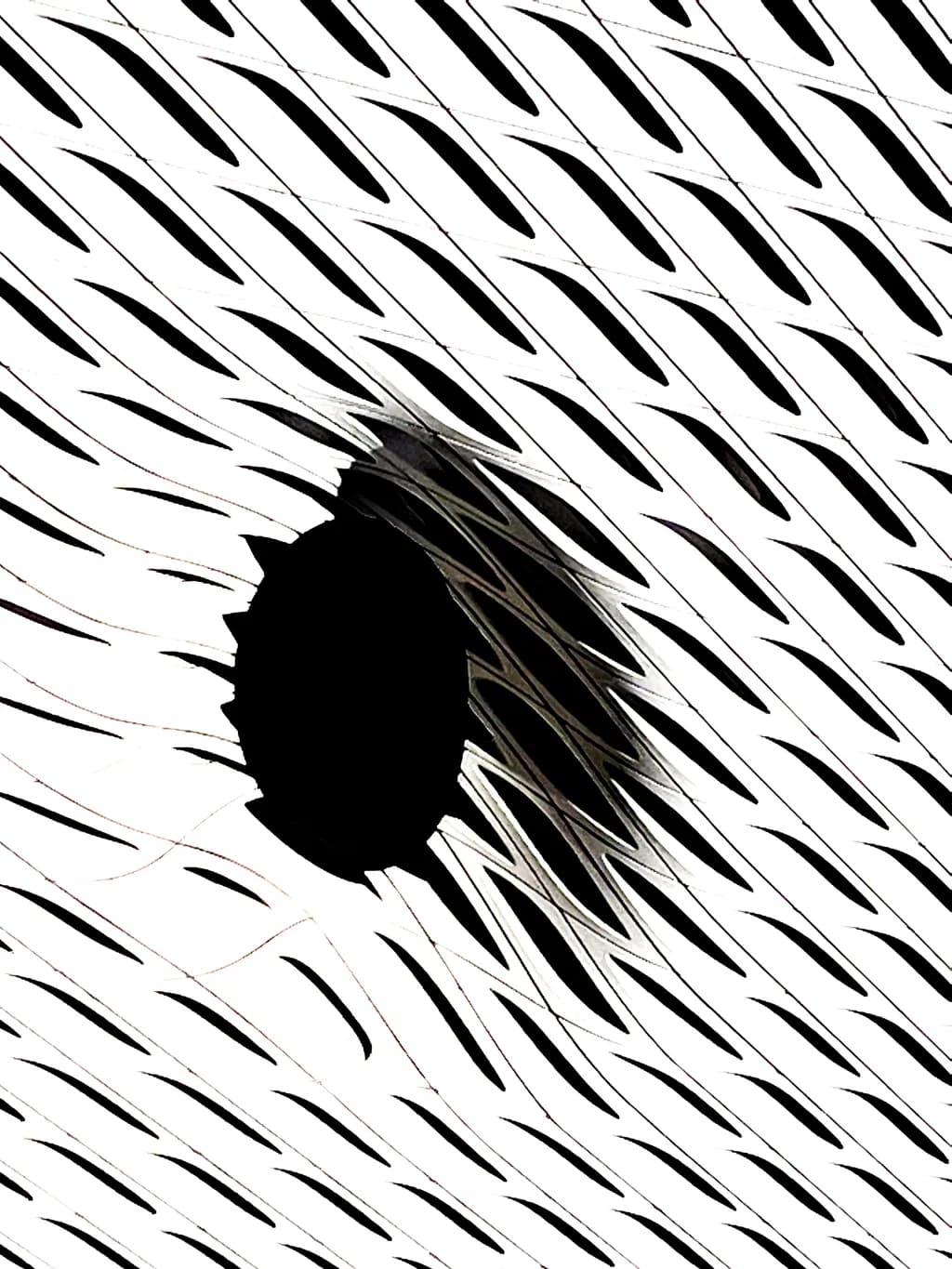 Fractured Void