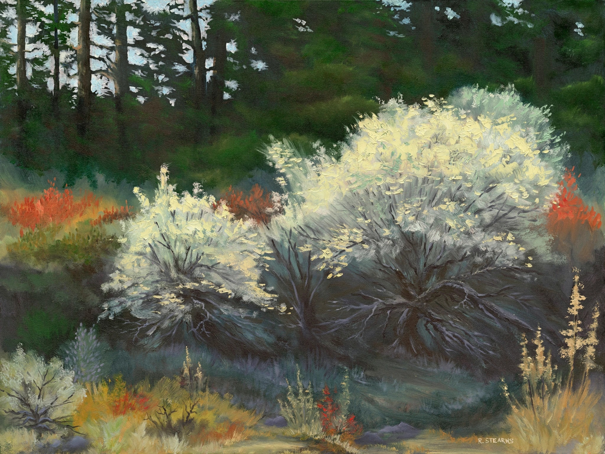 When the Sage Blooms