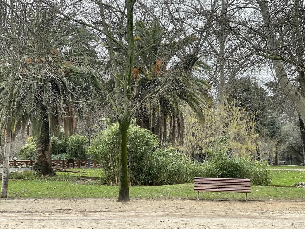 Park Bench Serenity