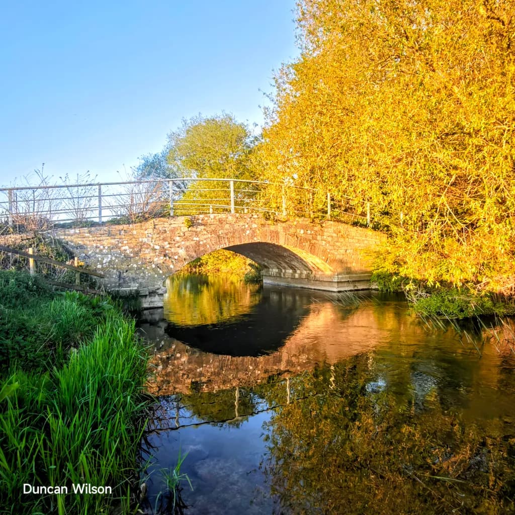Golden Arch Reflection