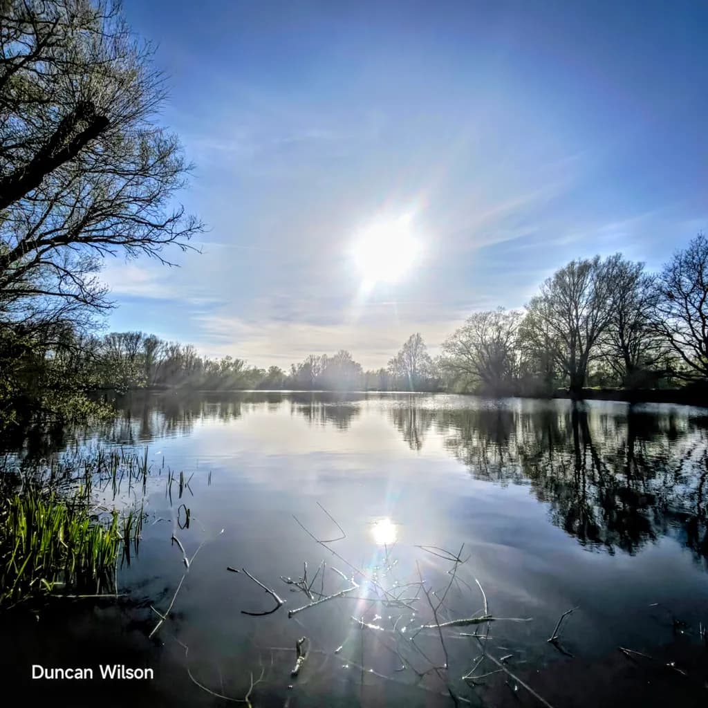 Morning Reflection