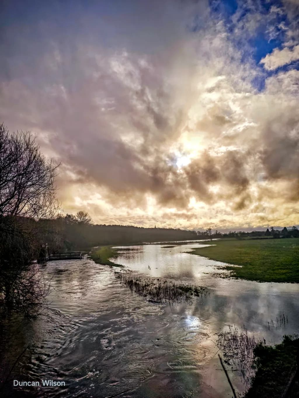 Flooded Meadow Twilight