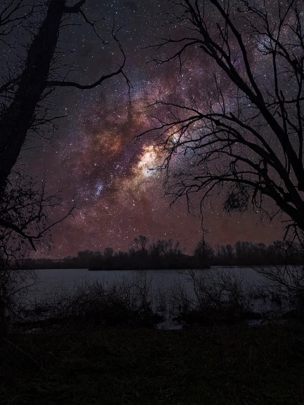 Celestial Silhouettes