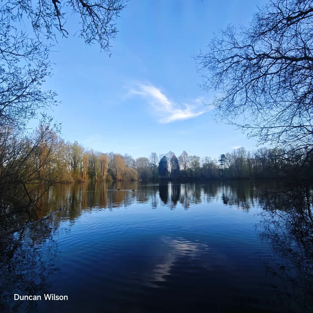 Quiet Reflection