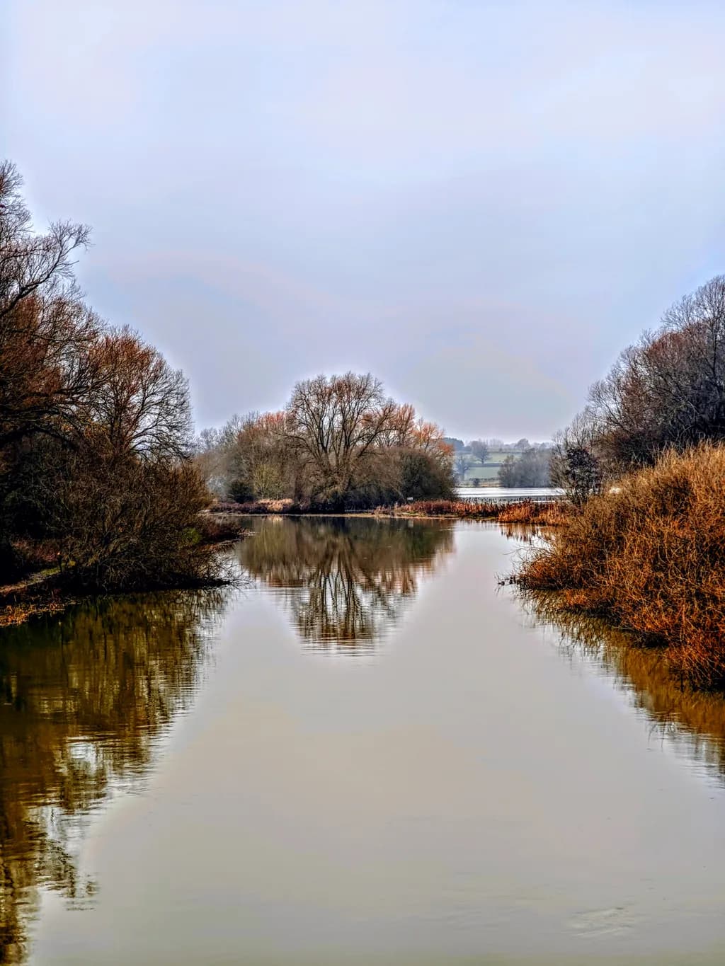 Muted River Reflection