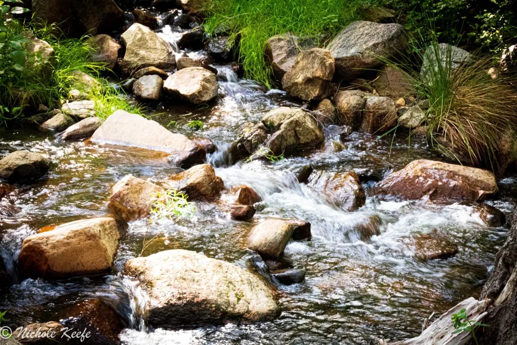 California Mountain Stream