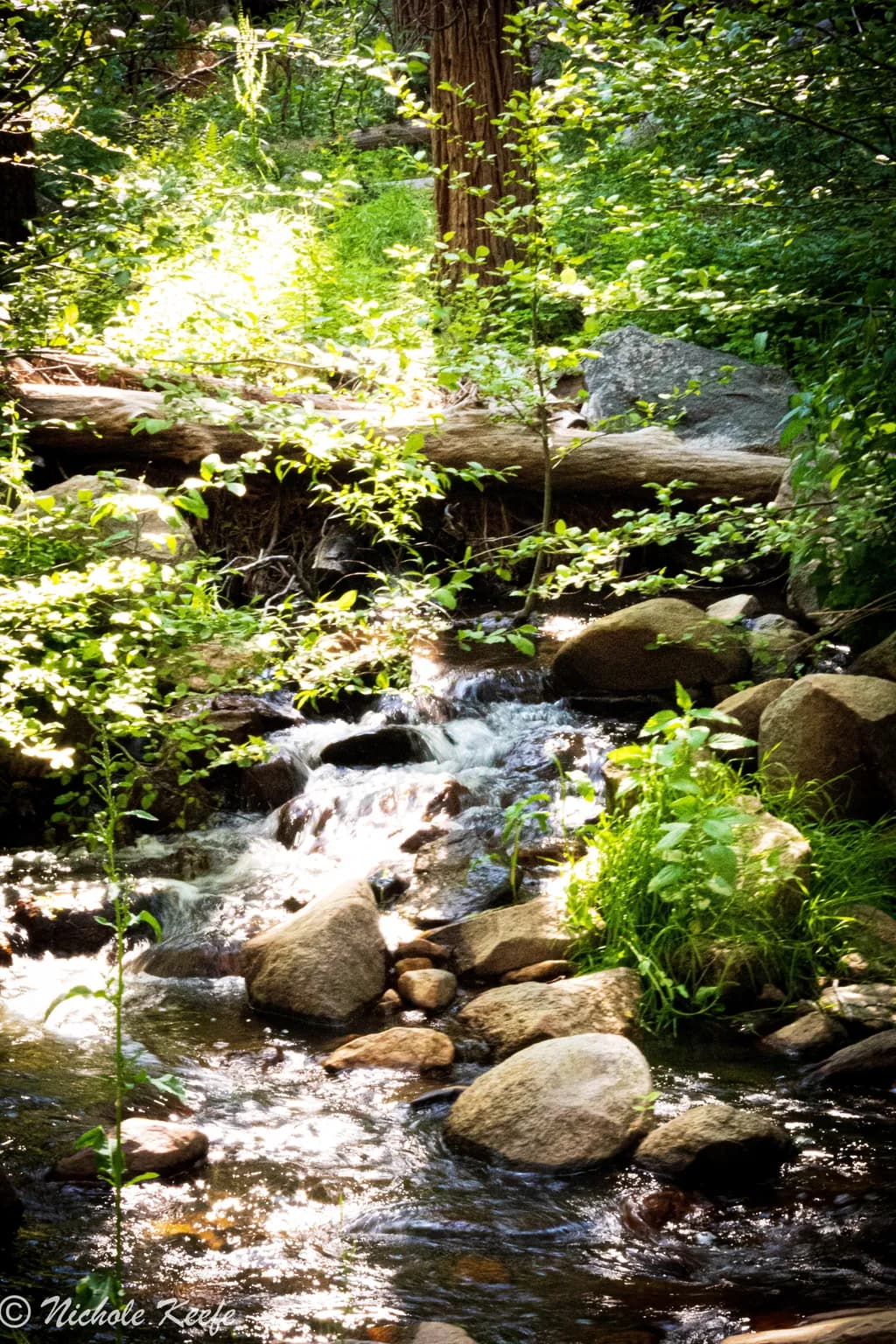 California Mountains Stream