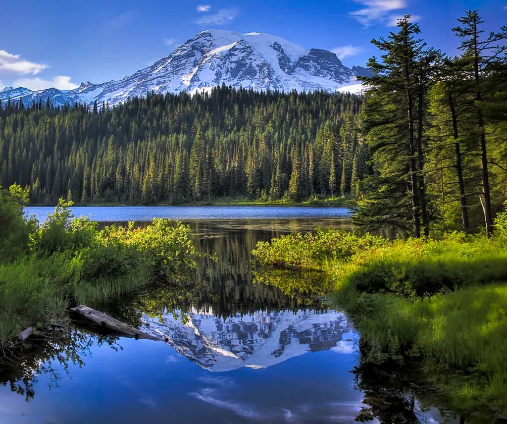 Hermitage Reflection