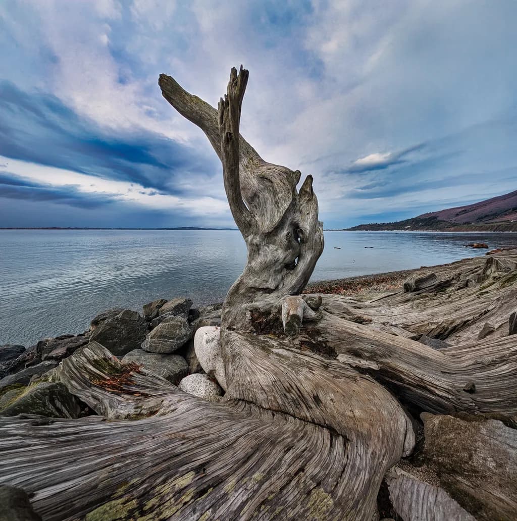 Hermitage Bathroom Driftwood