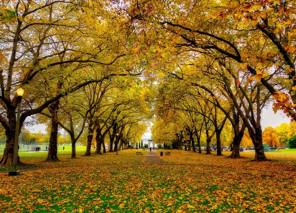 Hermitage Bench Path