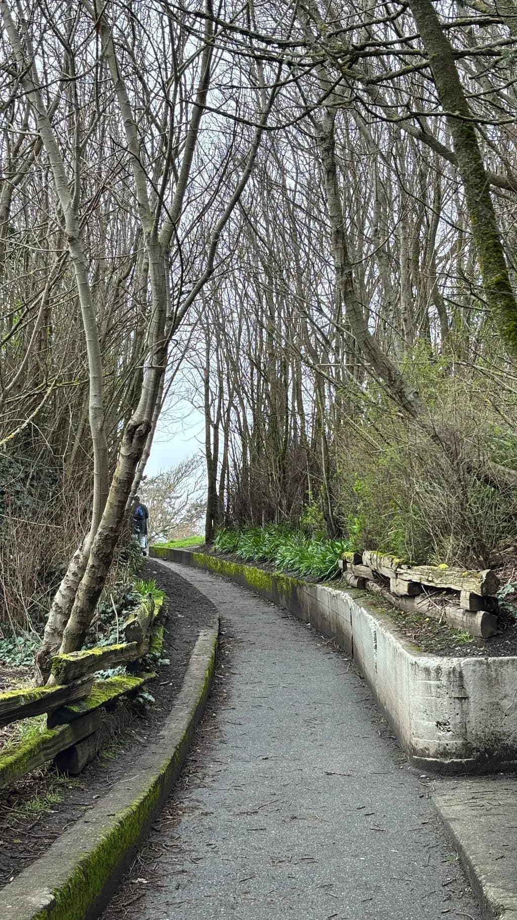 Mossed Passage