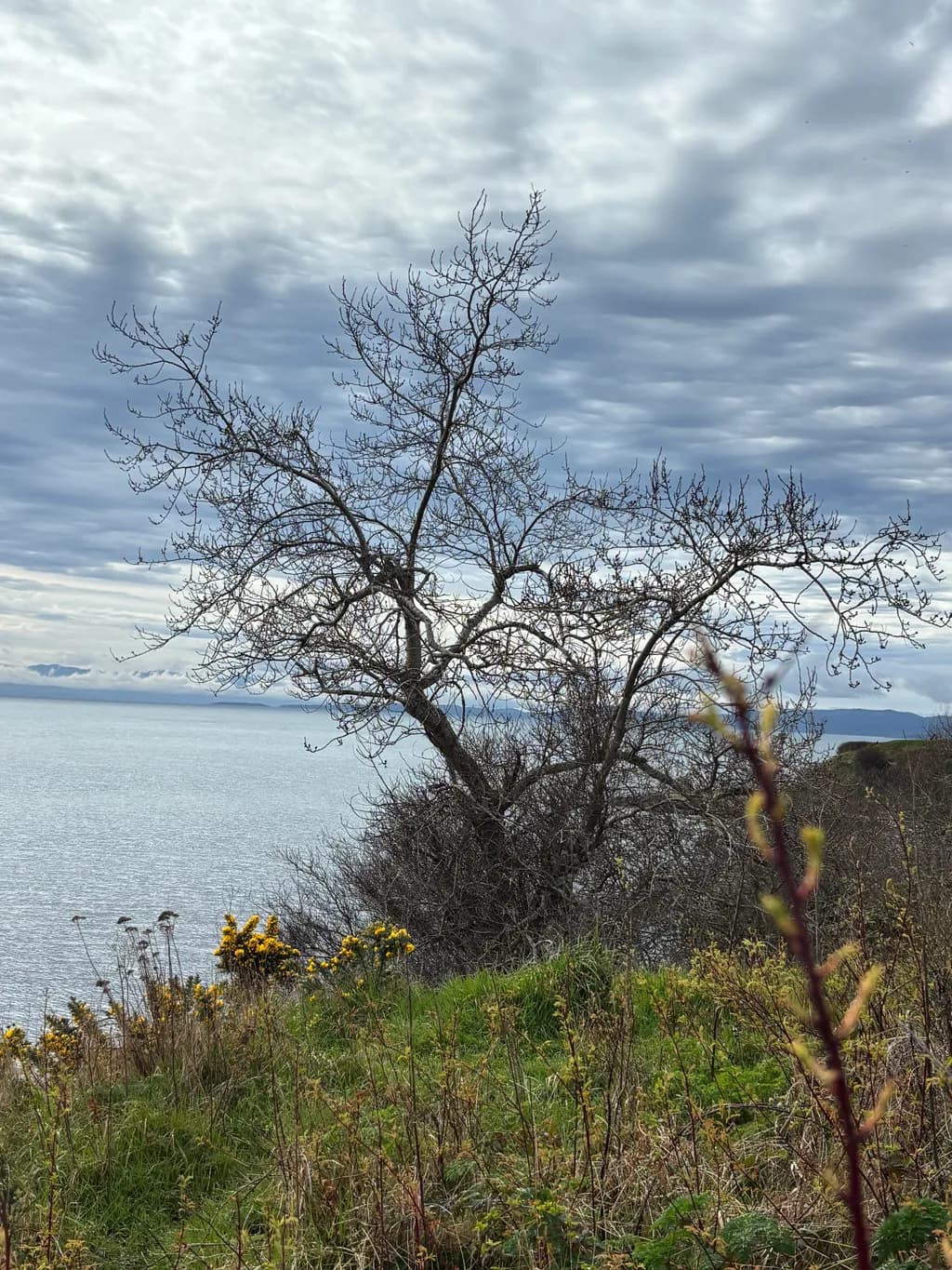 Quiet Shoreline