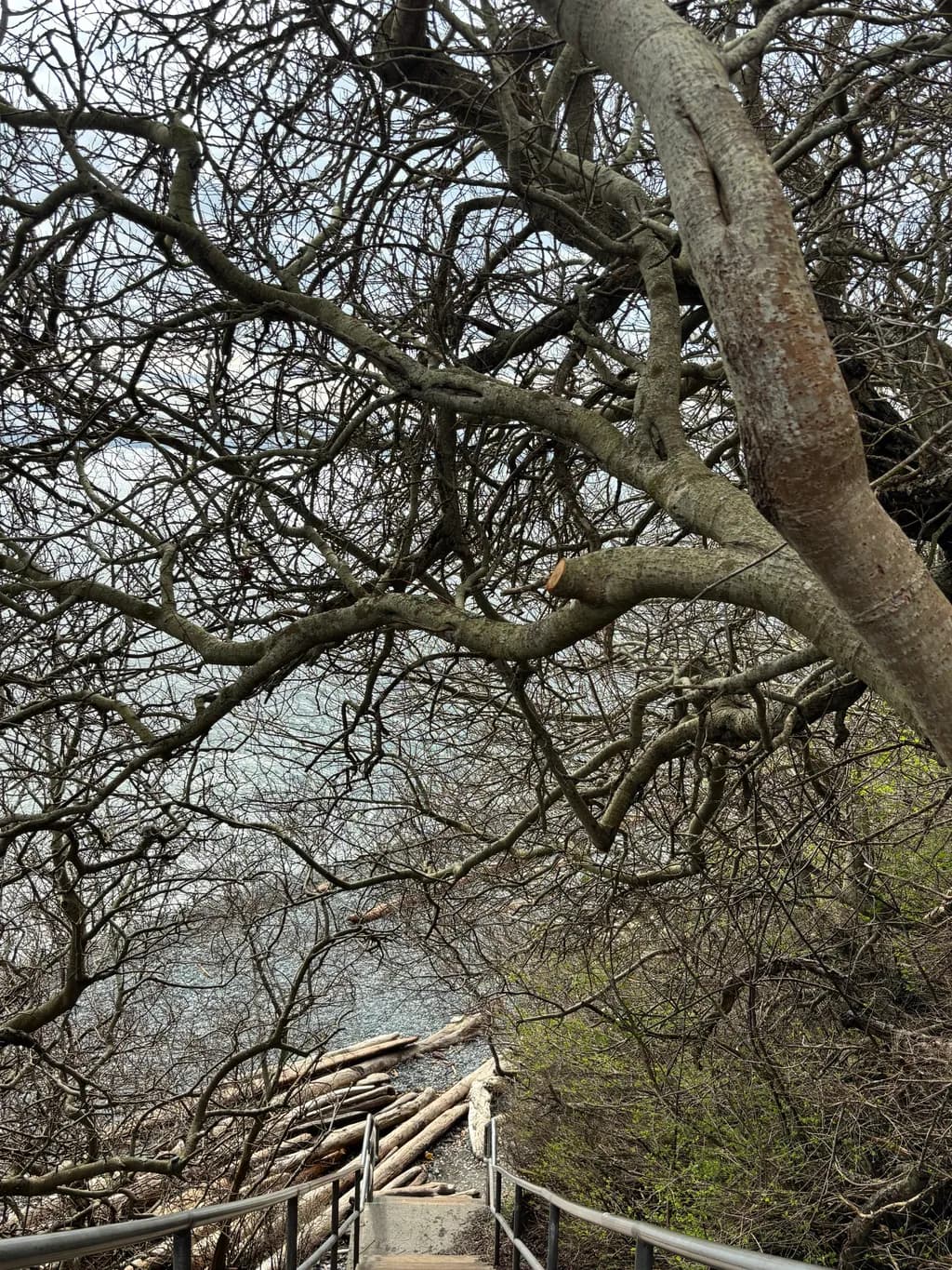 Tangled Descent