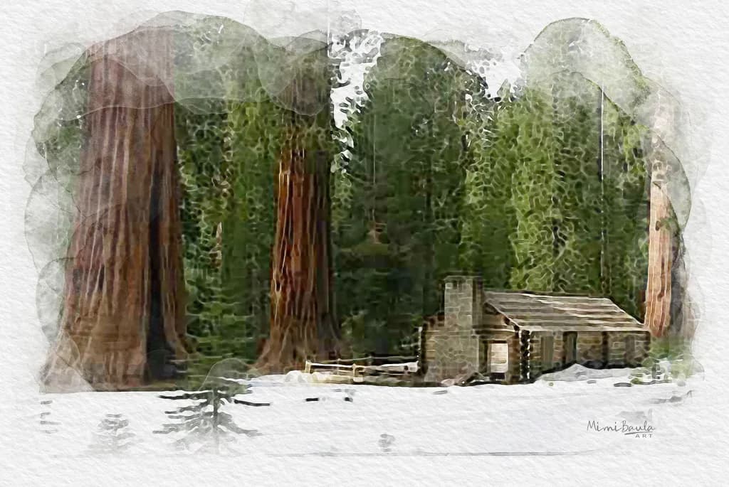 Cabin in the Woods