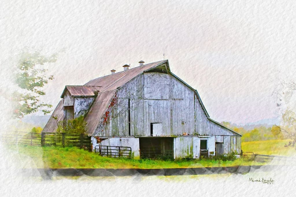 Barnside Reverie
