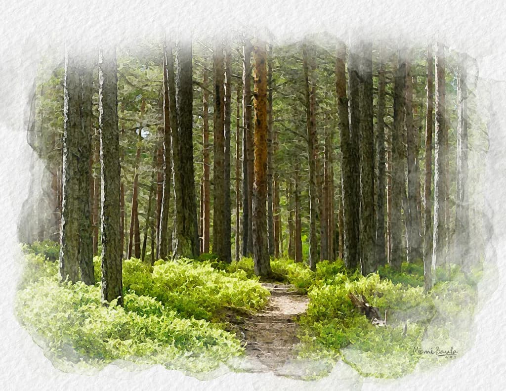 Through the Quiet Pines