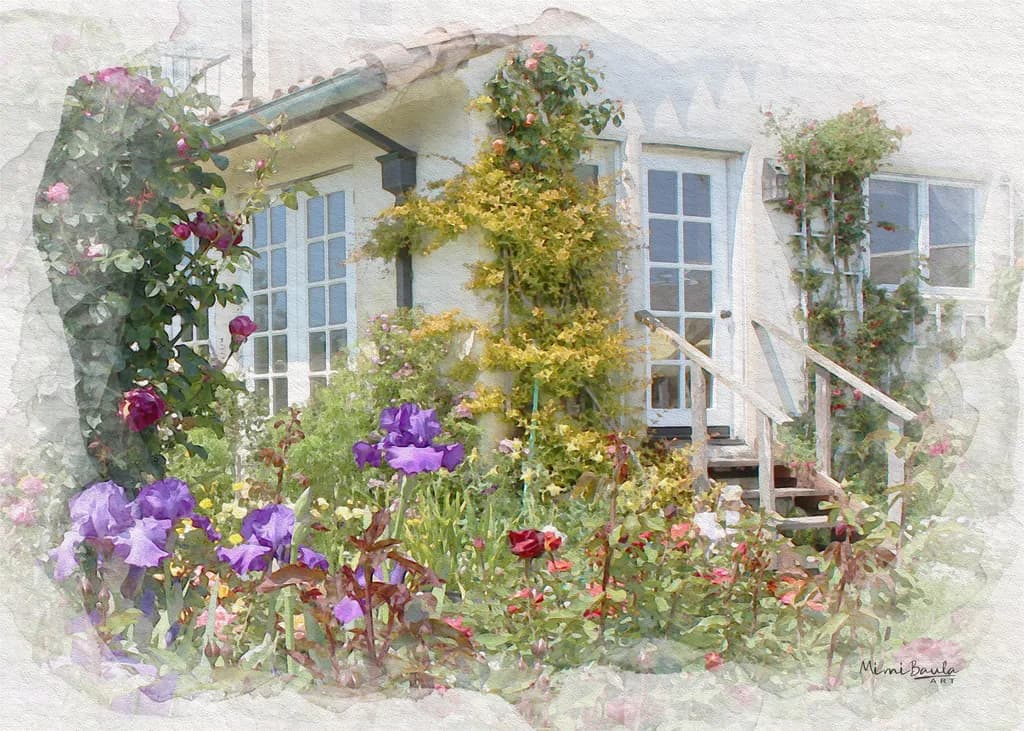 Cottage Garden Bloom