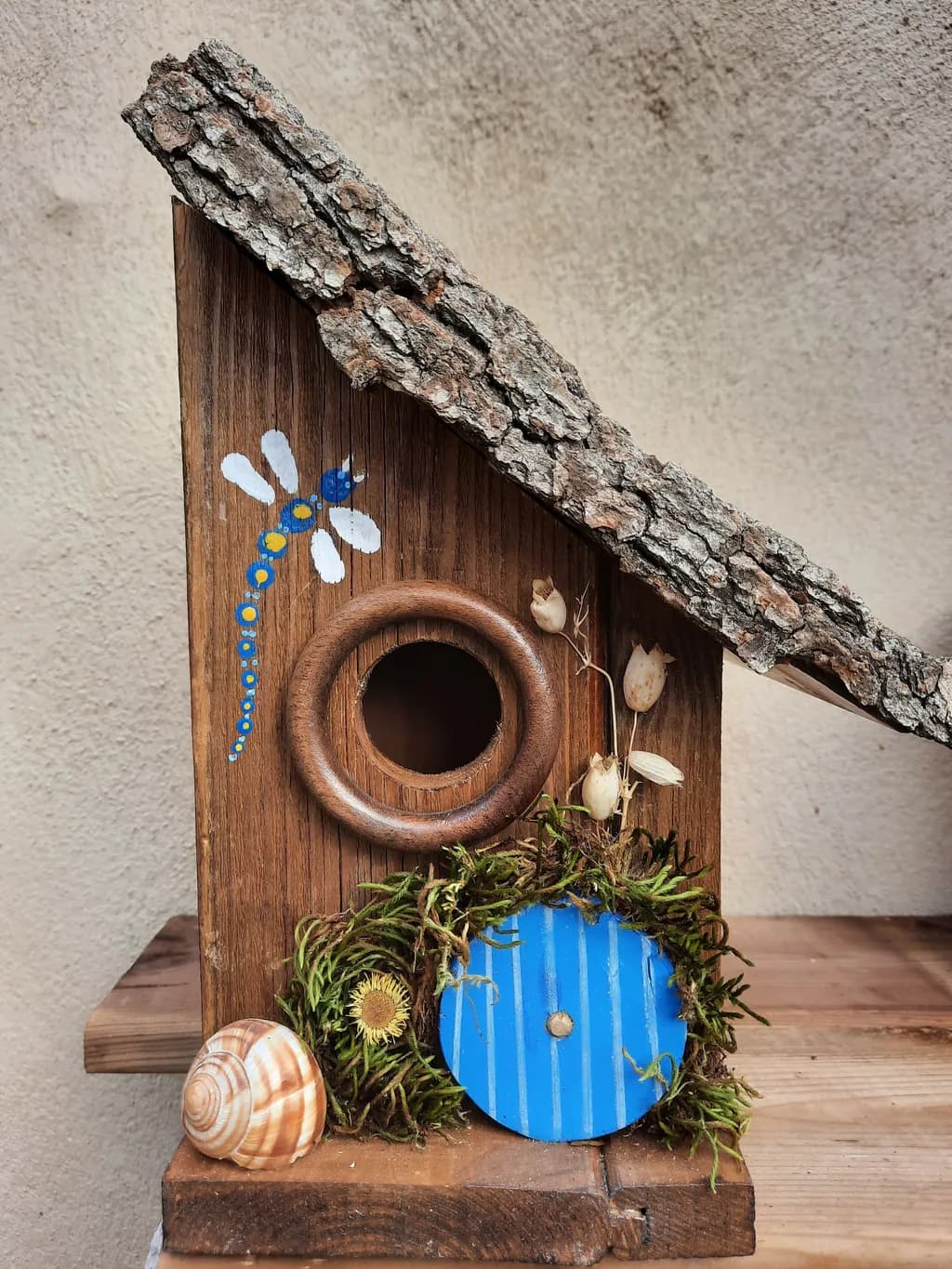 Dragonfly Haven