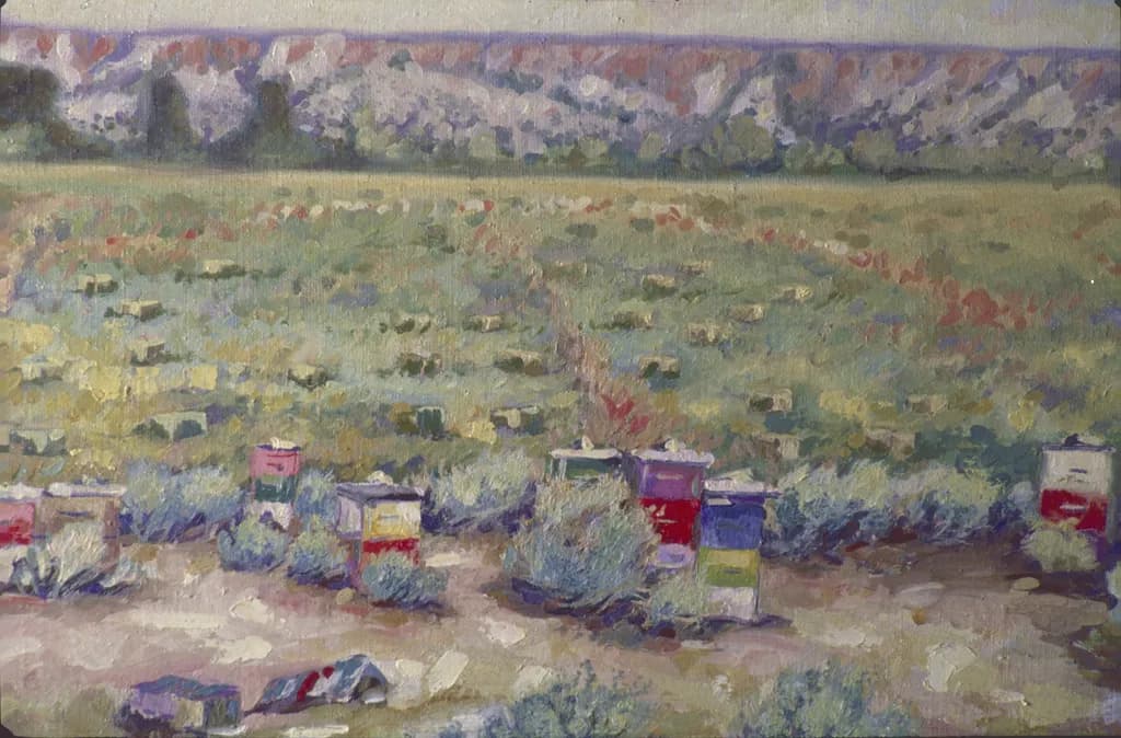 Beehives in Field