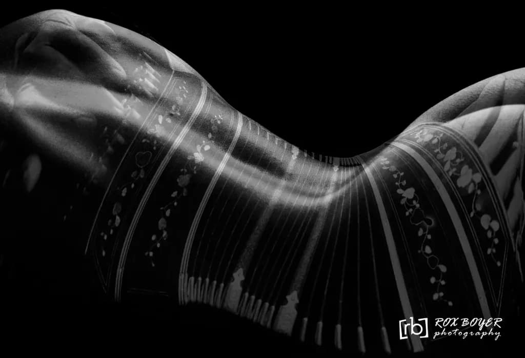 Bandoneón Curves