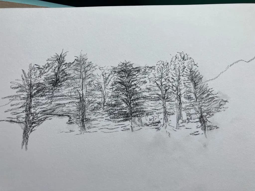 Forest Scribble Session