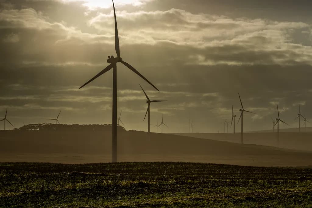 Twilight Turbines