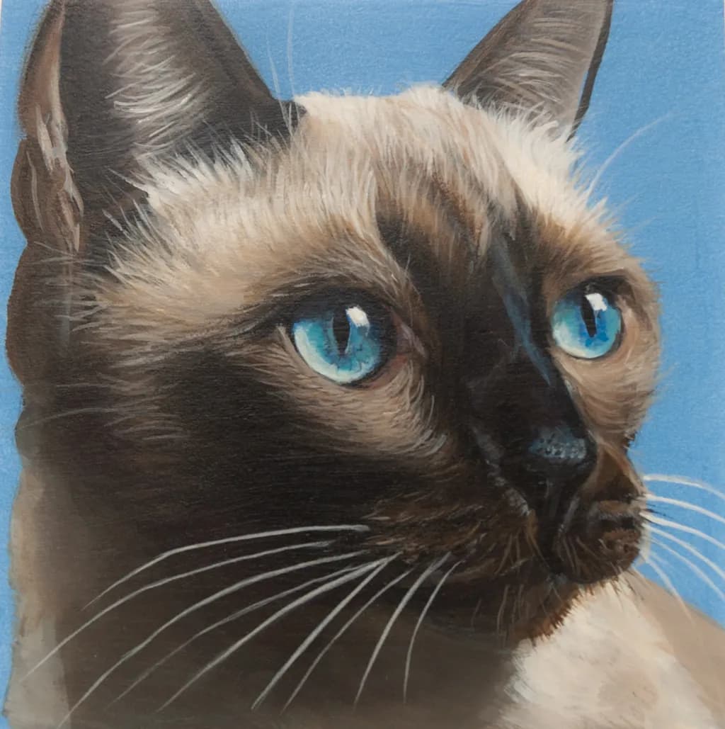 Siamese Gaze