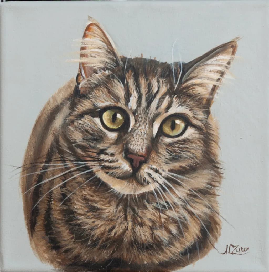 Curious Tabby