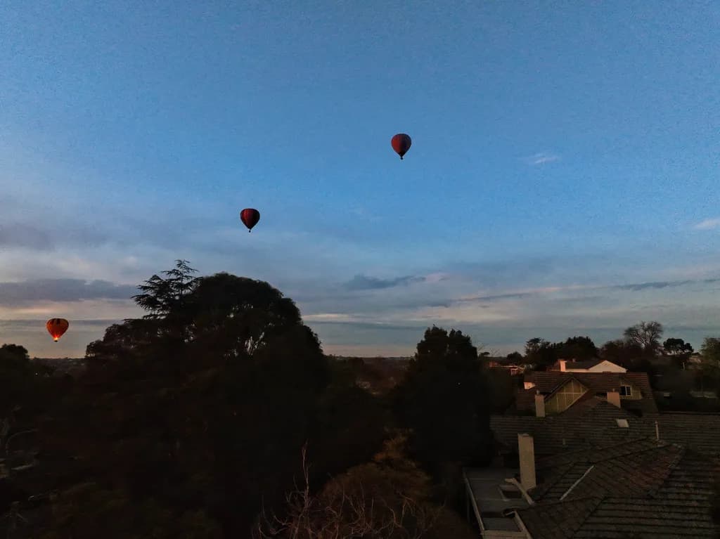 Twilight Flight