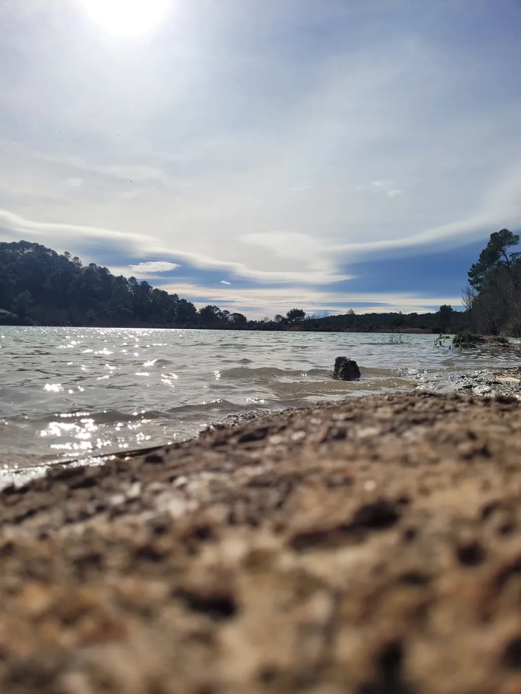 Shoreline Reflections